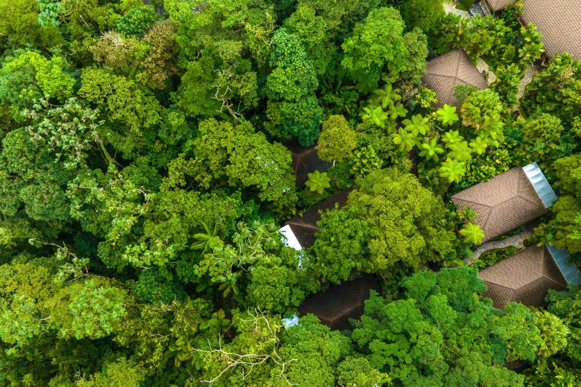 Hideaway Rio Celeste Hotel Bijagua Kültér fotó