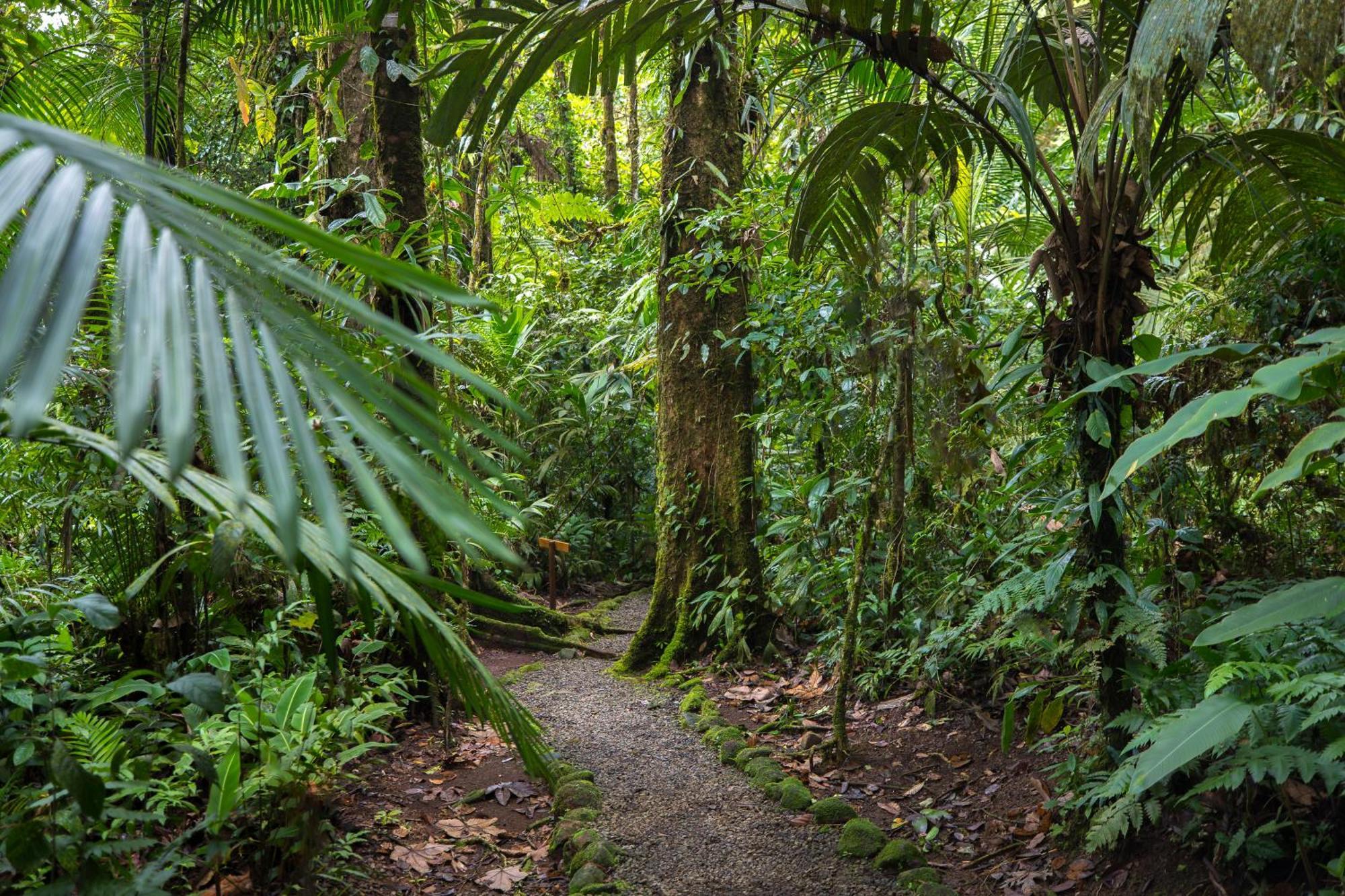 Hideaway Rio Celeste Hotel Bijagua Kültér fotó